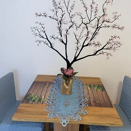 Kometer * بوويتش